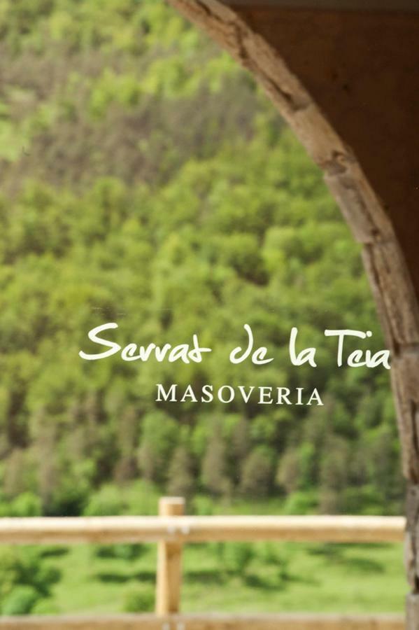Mas Serrat De La Teia Sant Joan de les Abadesses Zewnętrze zdjęcie